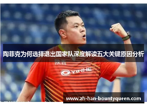 陶菲克为何选择退出国家队深度解读五大关键原因分析